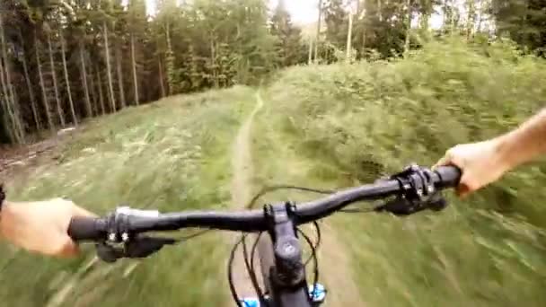 Zeitlupe Fahrradfahren im grünen Wald, Mountainbike erste persönliche Perspektive. Sommerreiten zwischen Bäumen. Gimbal stabilisierter Schuss mit gopro hero5 black 120fps.
