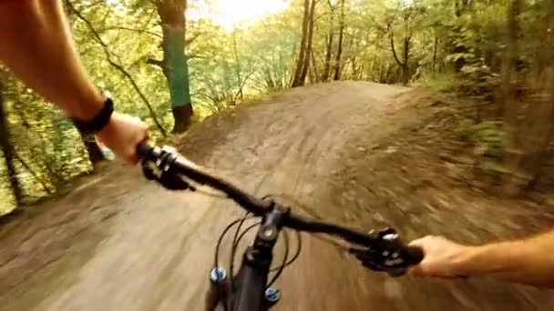 スローモーション緑の森の中で自転車に乗って マウンテンバイクの最初の個人的な視点ポフ 夏は木の間を走る ジンバルはGopro Hero5ブラック120Fpsで安定したショット — ストック動画