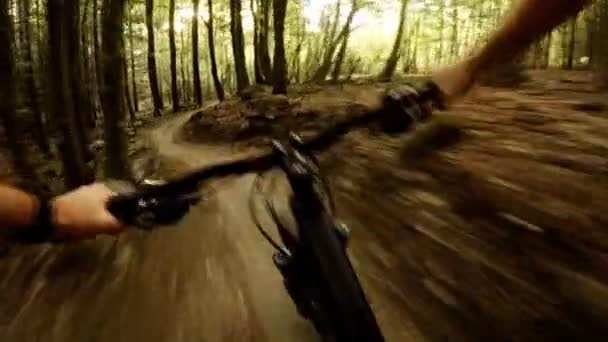 Mountain Bike Riding Green Woods Single Track Long Road Forest — Stock Video