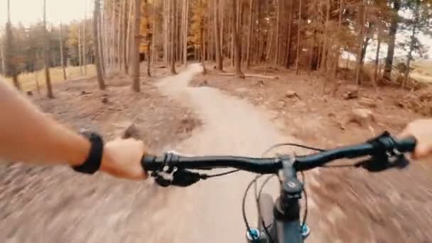 スローモーション緑の森の中で自転車に乗って マウンテンバイクの最初の個人的な視点ポフ 夏は木の間を走る ジンバルはGopro Hero5ブラック120Fpsで安定したショット — ストック動画