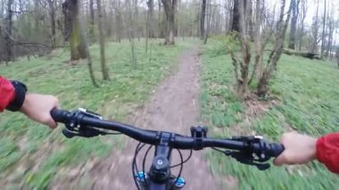 Yavaş Hareket yeşil ormanda bisiklet sürmek, dağ bisikleti ilk kişisel bakış açısı Pov. Ağaçlar arasında yaz gezisi. Gimbal, Gopro Hero5 siyah 120fps ile sabitlendi..