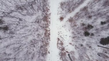 Beyaz kış orman yolu, üstten görünüm dron havadan görüntüleri yukarıdan aşağıya doğru hareket runner ile çalışan adam. İlham fitness ve motivasyon kavramı. Stabilize görüntüleri gimbal. 4 k Dlog ile vurdu.