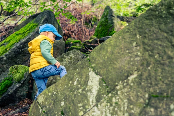 Little Boy Hiking Climbing Mountains Family Adventure Small Child Walking — Stock Photo, Image