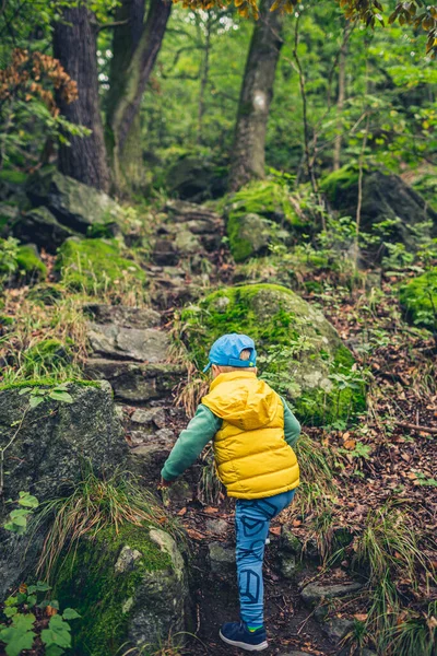 Peuter Jongen Wandelen Bergen Familie Avontuur Bovenaanzicht Klein Kind Wandelend — Stockfoto