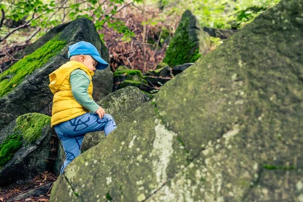小さな男の子のハイキングや山の中で登山 家族の冒険 岩だらけの緑の森を歩く小さな子供 ストック写真