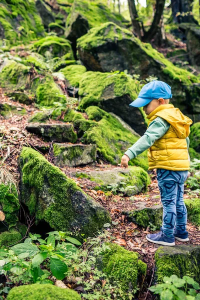 小男孩徒步旅行和爬山 走在石绿森林里的小孩 免版税图库照片