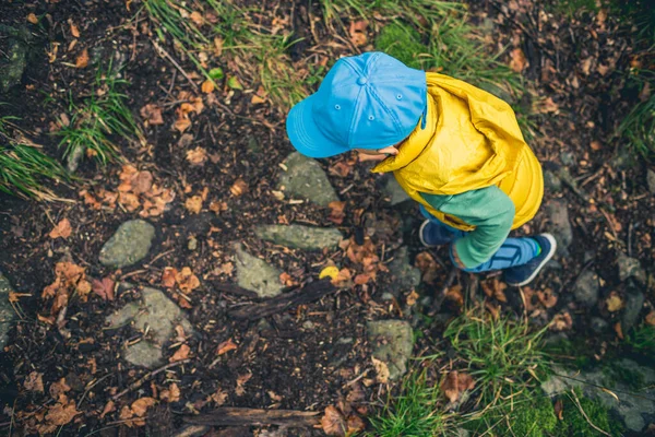 山の中で小さな男の子のハイキング 家族の冒険 トップビュー 岩だらけの緑の森を歩く小さな子供 ストックフォト