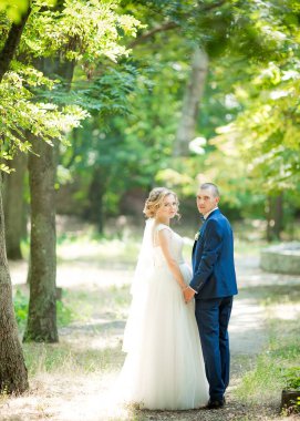 Gelin ve damat onların düğün günü Park 