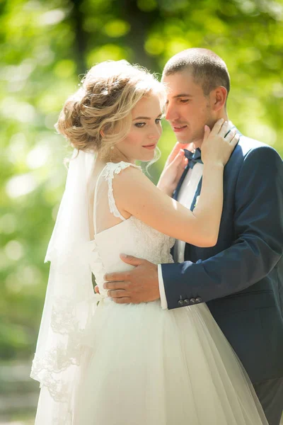 Sposo Sposo Giorno Del Loro Matrimonio Nel Parco — Foto Stock