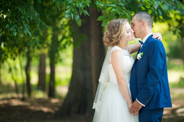 Gelin ve damat onların düğün günü Park 