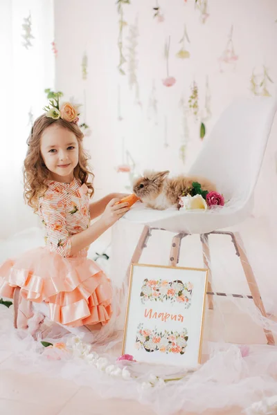 Beautiful Little Girl Rabbit Posing Studio — Stock Photo, Image