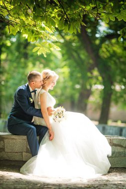 Gelin ve damat onların düğün günü Park 