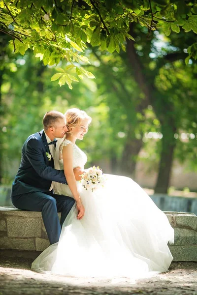 Gelin ve damat onların düğün günü Park 