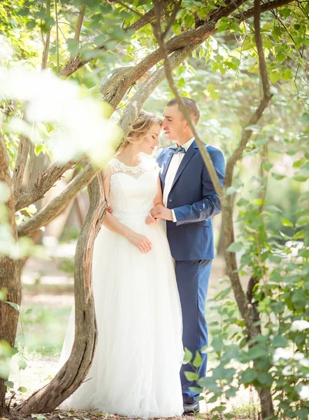 公園で結婚式当日の新郎新婦 — ストック写真