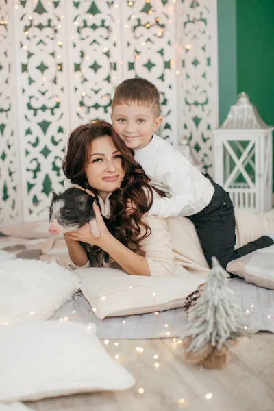 ミニ豚とのクリスマスのインテリアで美しい小さな男の子と母 — ストック写真