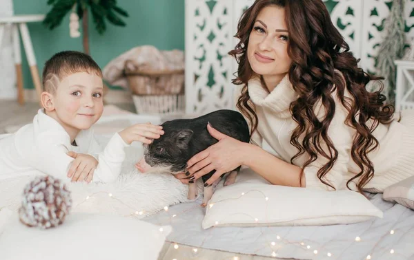 Mooie Kleine Jongen Moeder Kerst Interieur Met Mini Varken — Stockfoto