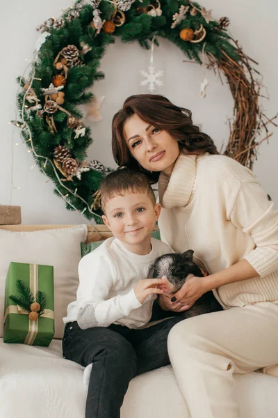 Mini Domuz Ile Noel Güzel Küçük Oğlan Anne — Stok fotoğraf
