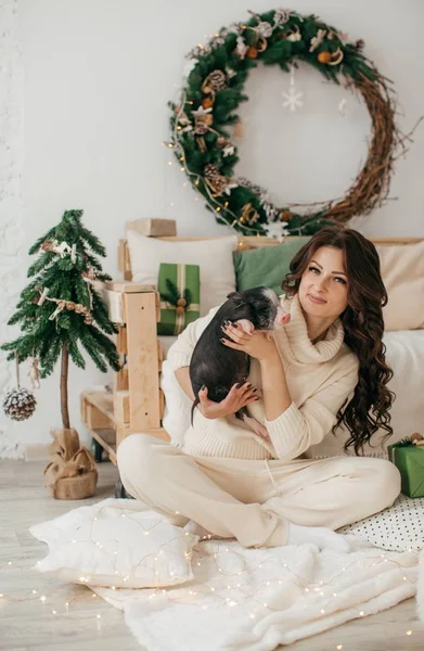 Hermosa Mujer Casa Con Mini Cerdo —  Fotos de Stock