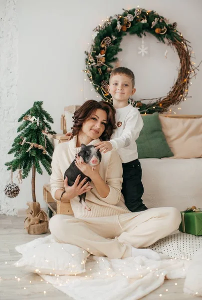 ミニ豚とのクリスマスのインテリアで美しい小さな男の子と母 — ストック写真