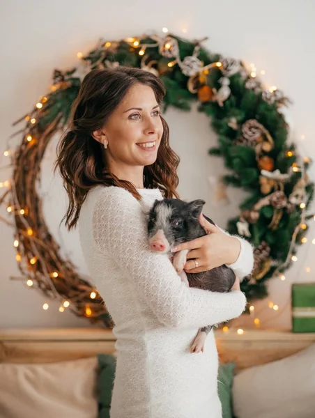 Noel Mini Pig Ile Güzel Kadın — Stok fotoğraf