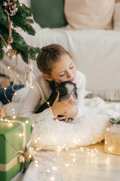 Mini Domuz Ile Noel Ağacı Yakınındaki Güzel Küçük Kız — Stok fotoğraf