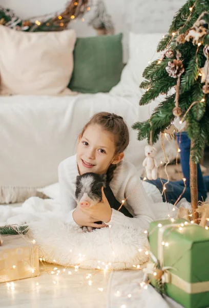 Mini Domuz Ile Noel Ağacı Yakınındaki Güzel Küçük Kız — Stok fotoğraf