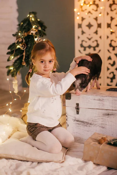 Beautiful Little Girl Home Mini Pig — Stock Photo, Image