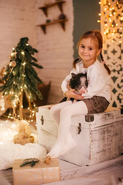 Beautiful Little Girl Christmas Tree Mini Pig — Stock Photo, Image