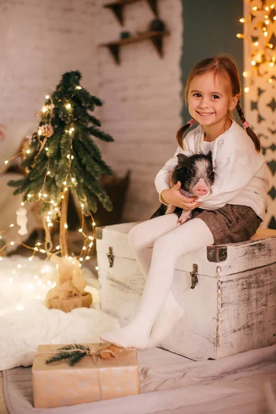 Beautiful Little Girl Christmas Tree Mini Pig — Stock Photo, Image