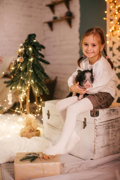 Mini Domuz Ile Noel Ağacı Yakınındaki Güzel Küçük Kız — Stok fotoğraf