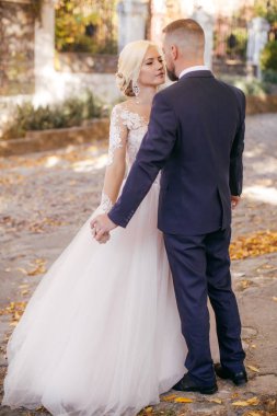 Gelin ve damat onların düğün günü Park 