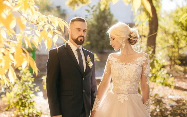 Gelin Damat Onların Düğün Günü Park — Stok fotoğraf