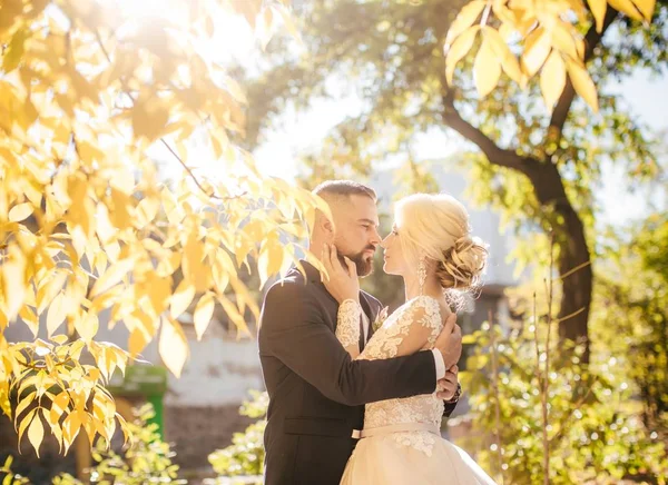 Noiva Noivo Dia Casamento Parque — Fotografia de Stock