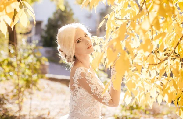 Vackra Unga Bruden Vit Bröllop Klänning Poserar — Stockfoto