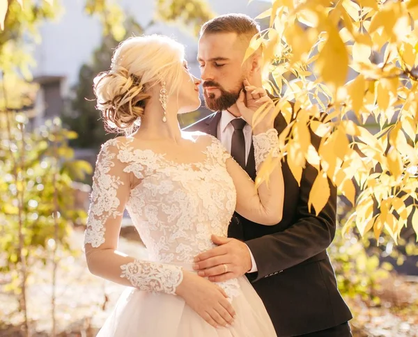 Gelin Damat Onların Düğün Günü Park — Stok fotoğraf