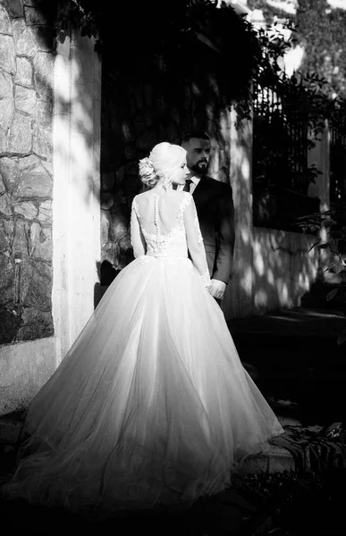 Braut Und Bräutigam Hochzeitstag Park — Stockfoto