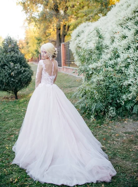 Mooie Jonge Bruid Witte Bruiloft Jurk Poseren — Stockfoto