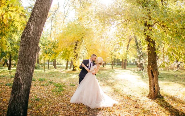 Bruden Och Brudgummen Deras Bröllopsdag Park — Stockfoto