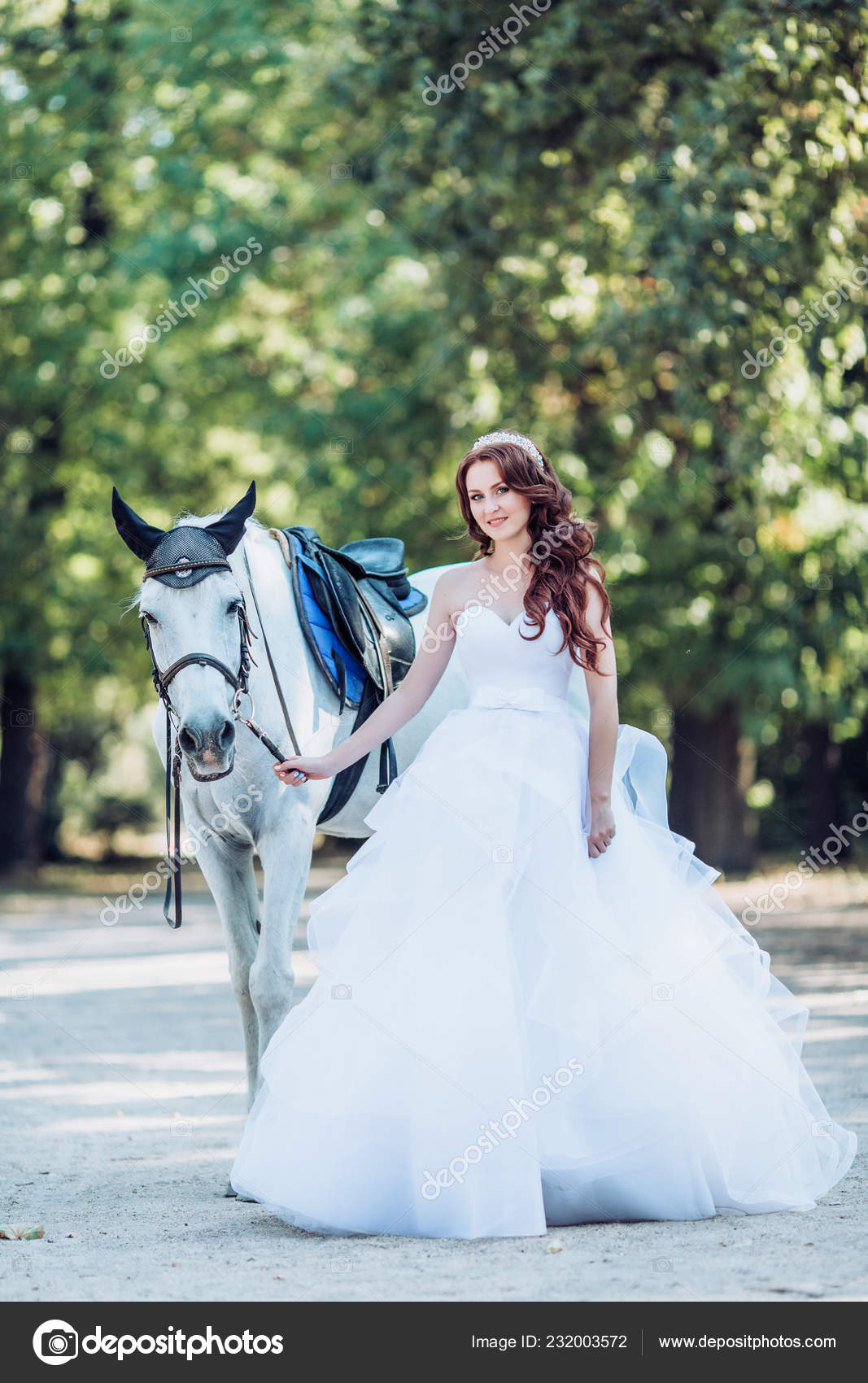 Beautiful Young Bride White Wedding Dress Posing Outdoor Horse