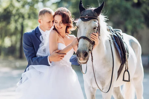 Bride and groom on their wedding day with horse in park