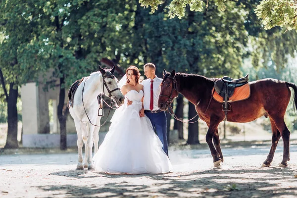 Brudparet Bröllopsdagen Med Hästar Parken — Stockfoto