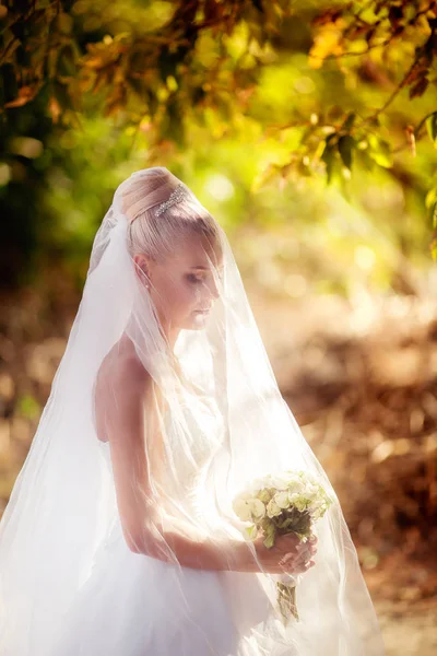 Schöne Junge Braut Weißen Hochzeitskleid Posiert Freien — Stockfoto