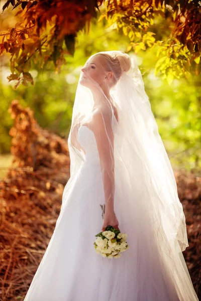 Όμορφη Νεαρή Νύφη Λευκό Νυφικό Ποζάρουν Εξωτερική — Φωτογραφία Αρχείου
