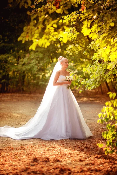 Schöne Junge Braut Weißen Hochzeitskleid Posiert Freien — Stockfoto