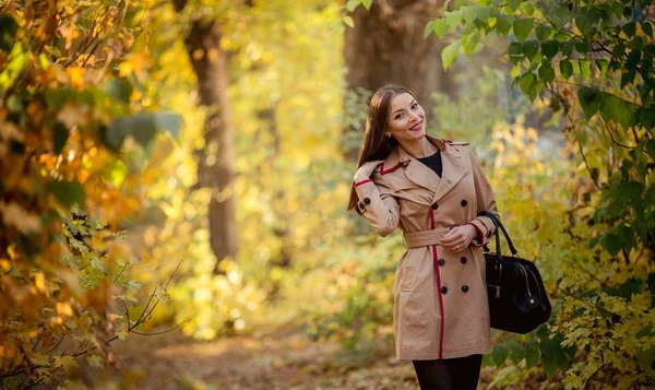 美丽的年轻女子在秋天公园构成 — 图库照片