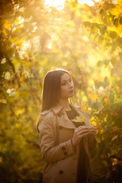 Sonbahar Parkta Poz Güzel Genç Kadın — Stok fotoğraf