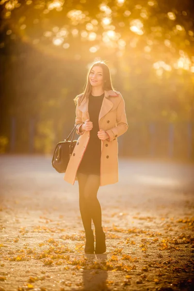 Beautiful Young Woman Posing Autumn Park — Stock Photo, Image