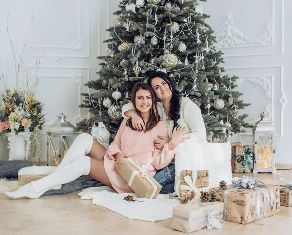 Güzel bir kadın portresi iyi eğlenceler Noel iç  