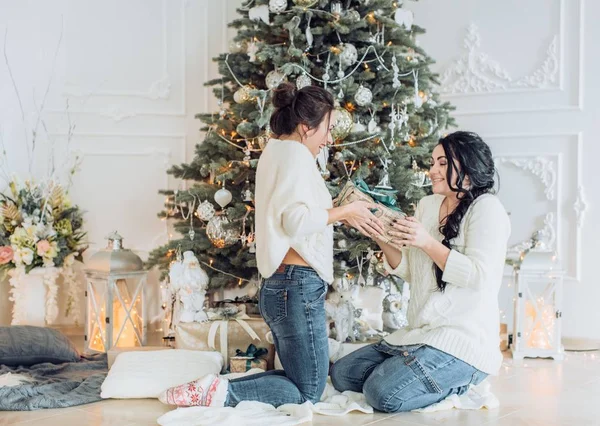 Güzel bir kadın portresi iyi eğlenceler Noel iç  