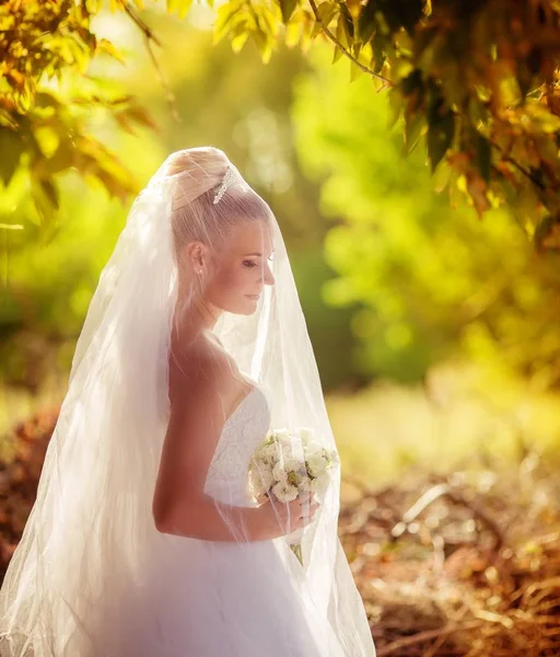 Bella Giovane Sposa Abito Sposa Bianco Posa Nel Parco — Foto Stock